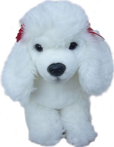 White poodle plush - white, toy