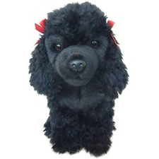 12" black poodle teddy poodles