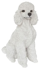 Vivid Arts Toy Poodle White
