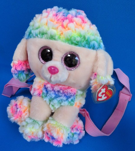 Medium poodle puppy dog - medium,