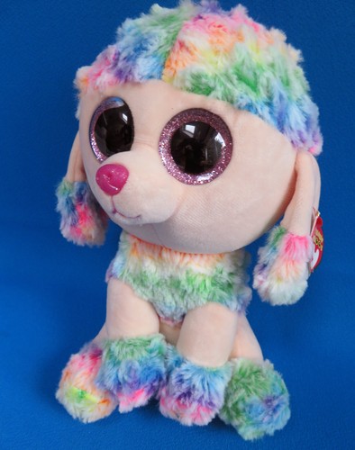 Medium poodle puppy dog - medium,