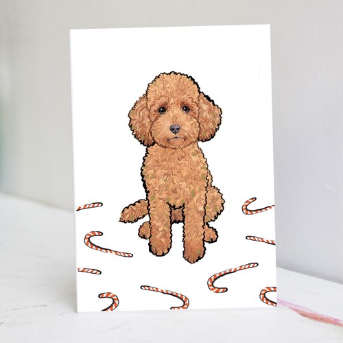 Red toy poodle christmas card - poodle,