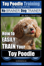Toy Poodle Training | Dog
