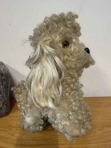 Vintage poodle curly hair - poodle, dog