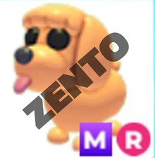 MR Toy Poodle - Adopt From Me