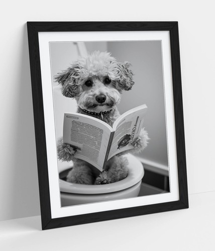 Toy poodle toilet funny - toilet,