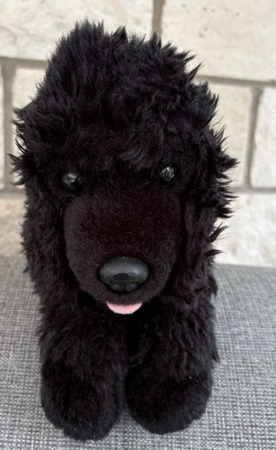 Black poodle dog puppy - black,