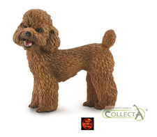 Brown Toy Poodle Dog Model