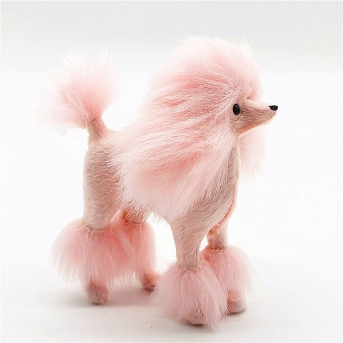 Inch mini poodle animal - 4,