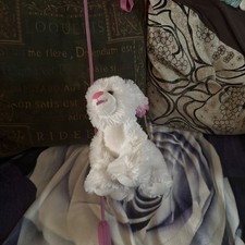 Pink And White Poodle Dog